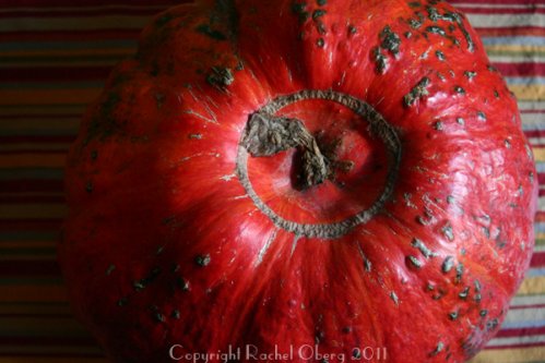 pumpkin