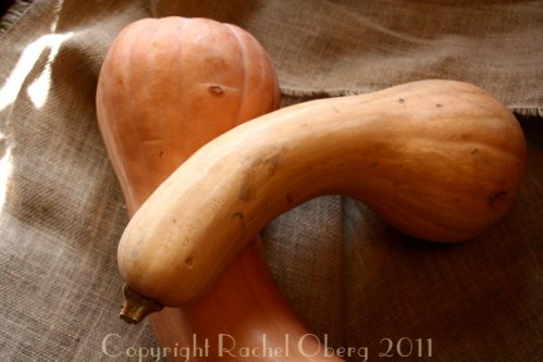 butternutsquash
